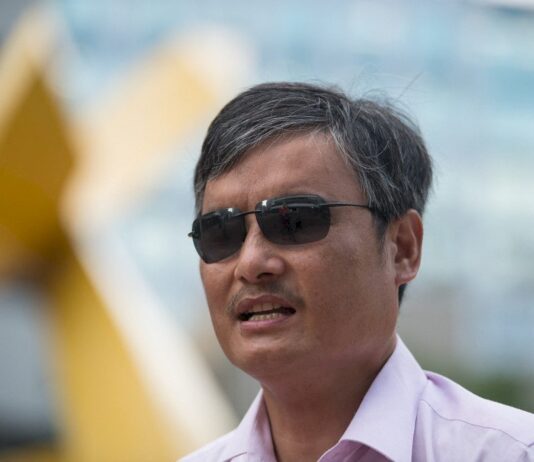 陳光誠:匪黨竊國,何談法治?!