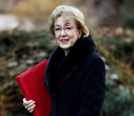 不滿梅伊新脫歐協議 下議院領袖求去