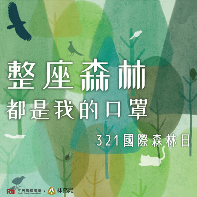 0321國際森林日