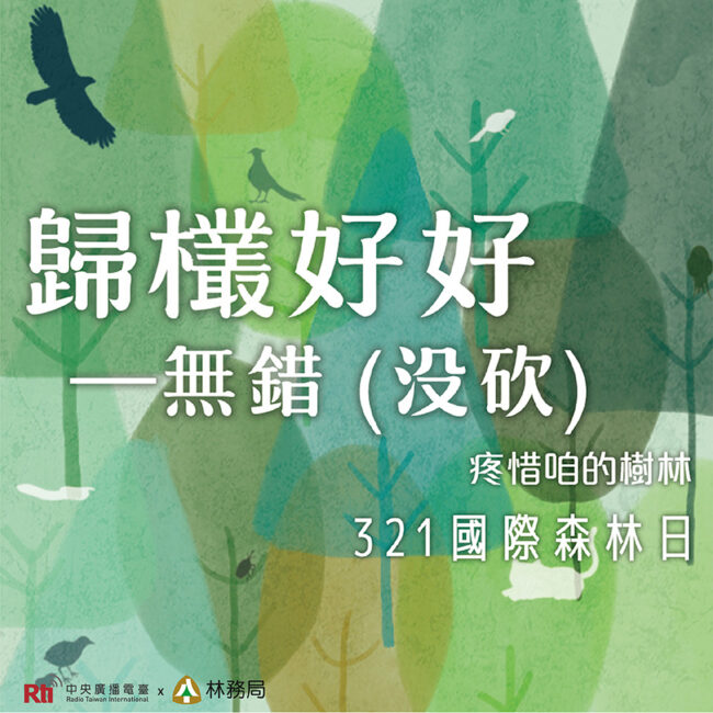 0321國際森林日