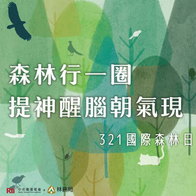 0321國際森林日