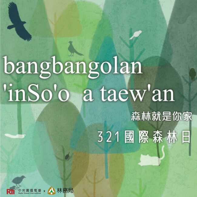 0321國際森林日