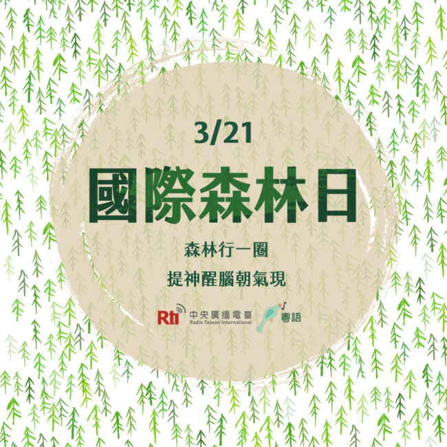 0321國際森林日