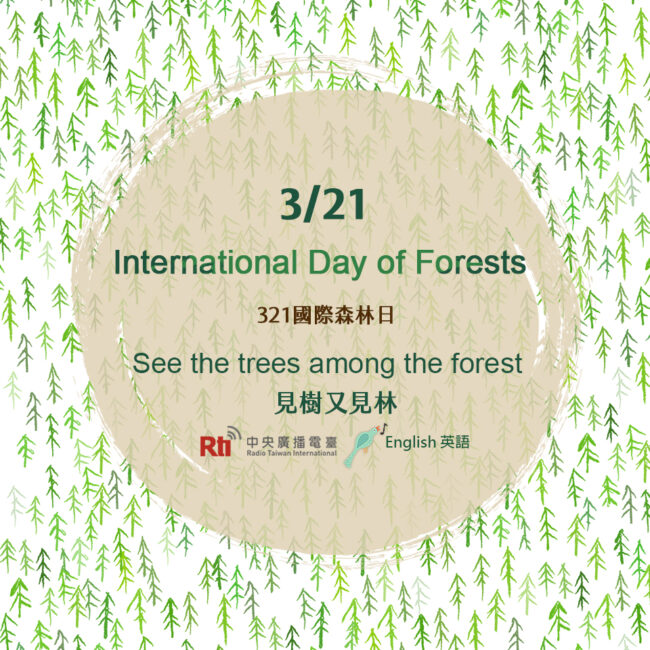 0321國際森林日
