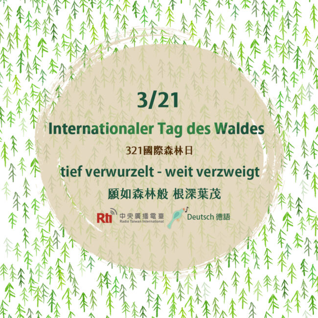 0321國際森林日