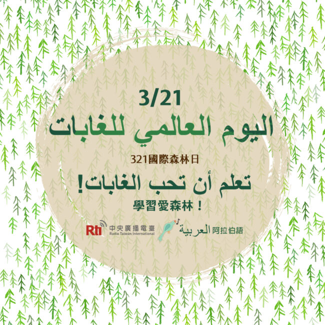 0321國際森林日