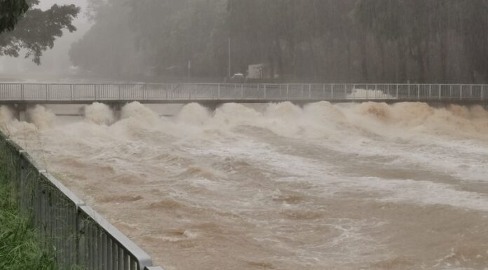 完美風暴 港府不完美的表現
