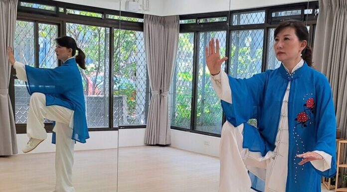 移台港人臥虎藏龍 太極高手作家編劇展開第二人生