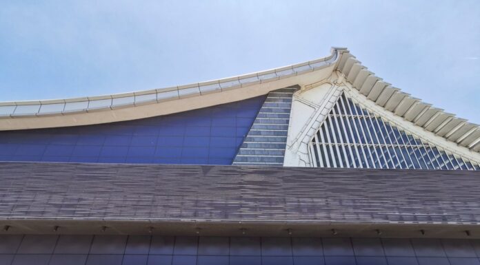 東奧代表團今起分批返國 規劃機場專用通道禮遇