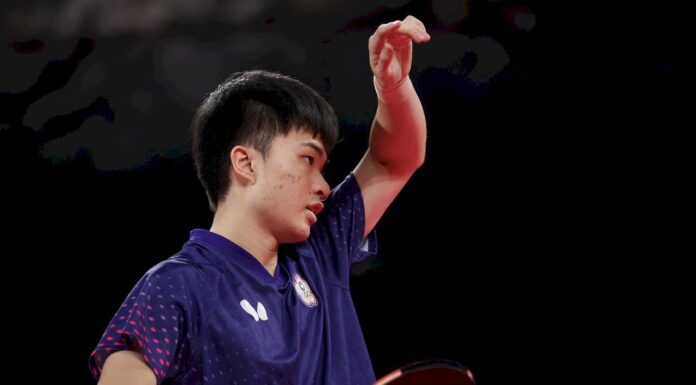 林昀儒雖敗表現出色 球王樊振東也稱讚