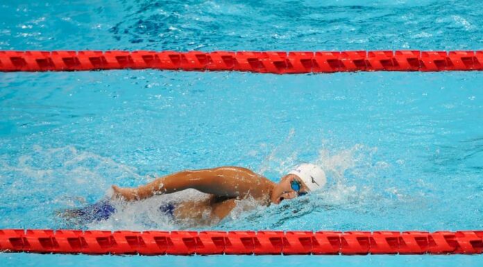 蔡總統讚帕運選手教練與後勤:你們都是台灣英雄